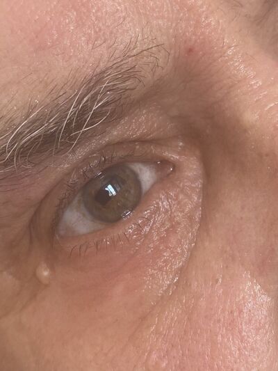  -,   , 61 ,   ,   , 