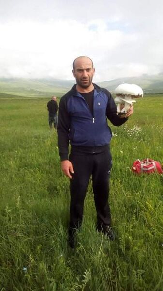  ,   Jimsher, 42 ,   ,   