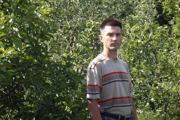  ,   , 50 ,  