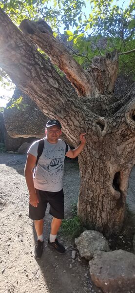  ,   , 46 ,   ,   