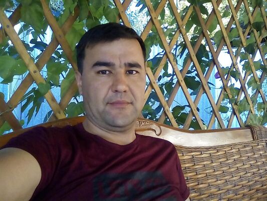  ,   Mustafa, 41 ,   ,   