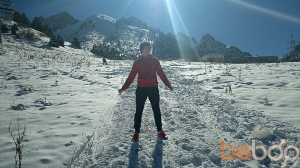 ���������� ������, ���� ������� 87755999229, 34 ����, ������������ ��� ������