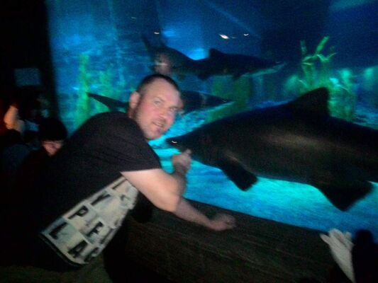  -,   , 50 ,   ,   , c 