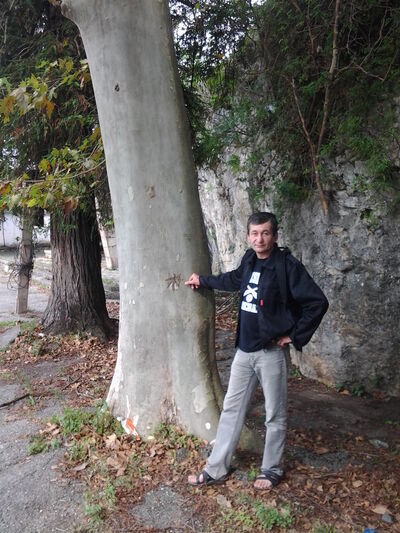  ,   Viacius, 60 ,     , c 