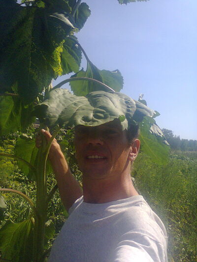  ,   , 43 ,   ,   , c , 