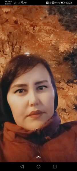  ,   , 38 ,     , 