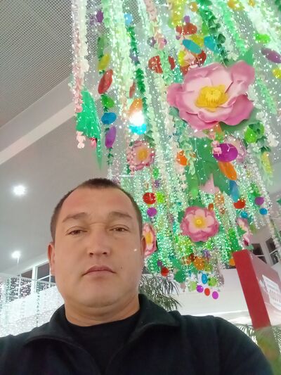  ,   XOLBOY, 40 ,   ,   