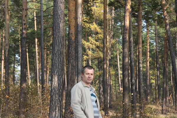  -,   , 53 ,   ,   , c 