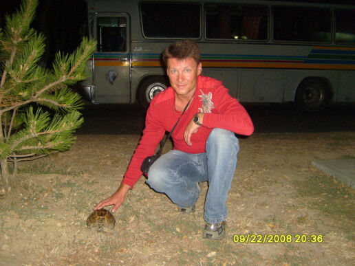  39511287  Alexey, 56 ,    