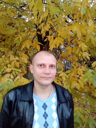  ,   , 41 ,  