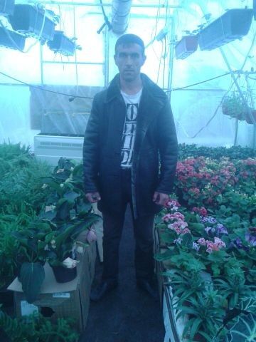  ,   , 45 ,   