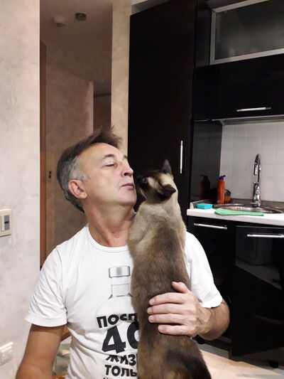  ,   , 53 ,  