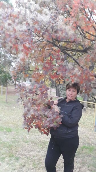  ,   , 59 ,     , c 