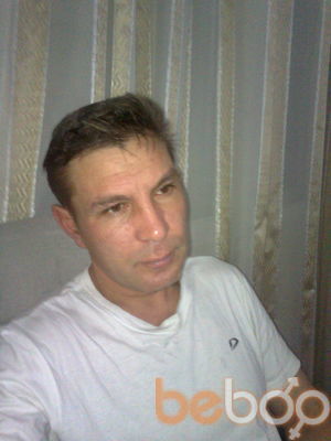  3604977  , 50 ,    