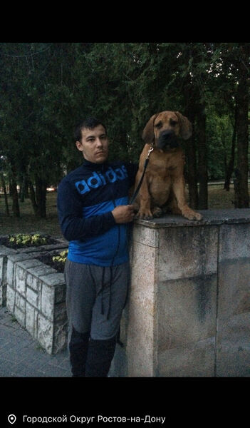  --,   , 34 ,   ,   , c 