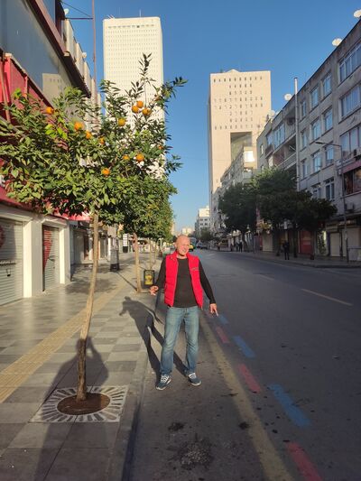  Antwerp,   , 43 ,   ,   , c 