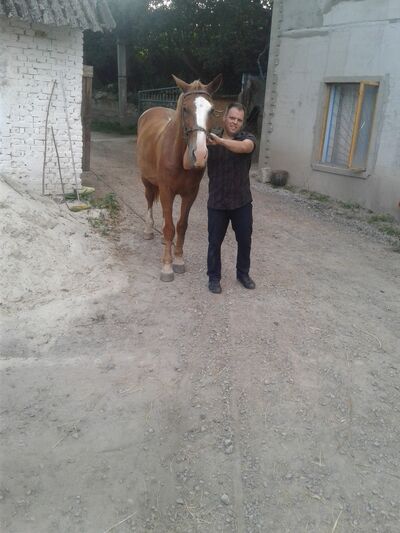  ,   Egor, 34 ,   ,   , c , 