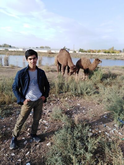  ,   , 21 ,   ,   , c , 