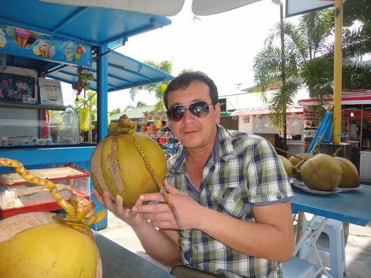  ,   Rondomiser, 53 ,   