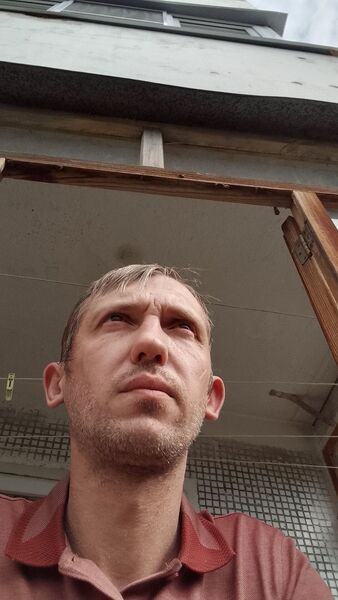 ,   , 41 ,   ,   