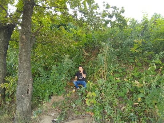  ,   Misha, 34 ,   ,   
