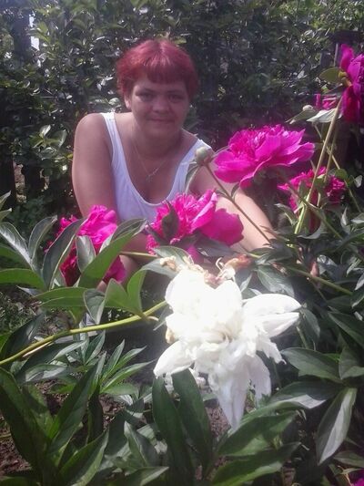  ,   , 46 ,  