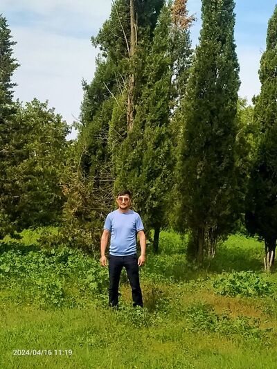  ,   Zafar, 40 ,   ,   