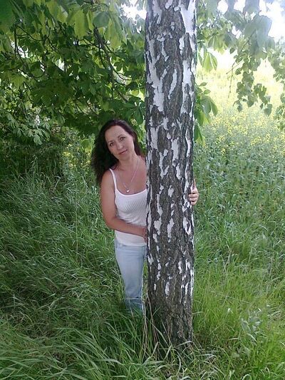  -,   , 53 ,   ,   , c , 