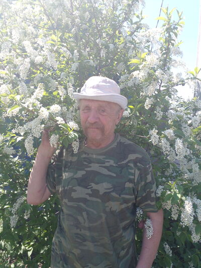  ,   , 65 ,   ,   