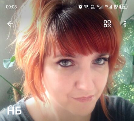  -,   , 41 ,   ,   