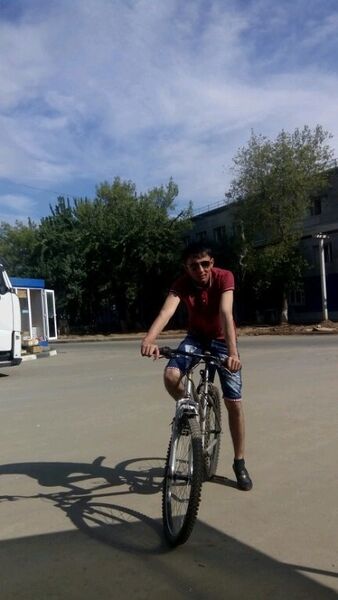  ,   Shavkat, 33 ,   ,   