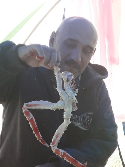  ,   , 46 ,   ,   , c , 