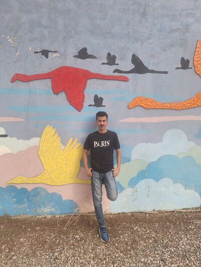  ,   Dayan, 24 ,   ,   , c , 