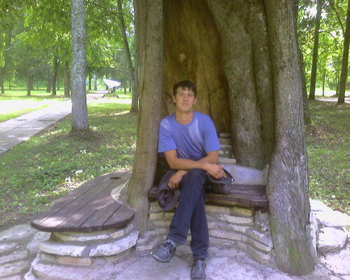  -,   ˸, 49 ,  