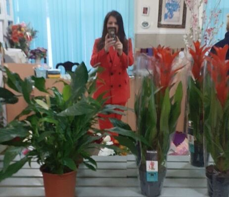  ,   , 44 ,   