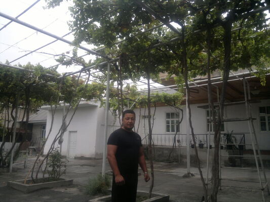  ,   , 37 ,     , c 