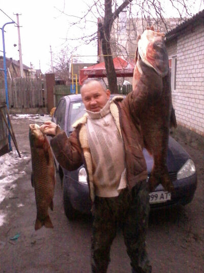  ,   , 55 ,   
