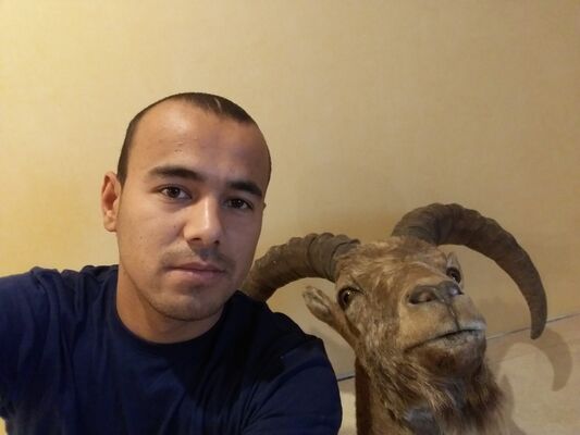  ,   Mirjavxar, 33 ,   ,   , c 