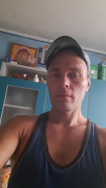  ,   Dinis, 40 ,   ,   