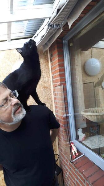  ,   Falck roland, 63 ,   ,   , c 
