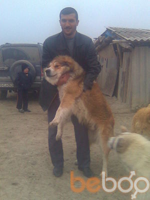  3167807  Samir baz, 43 ,    