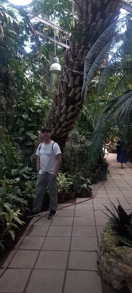  ,   , 52 ,   ,   , c 