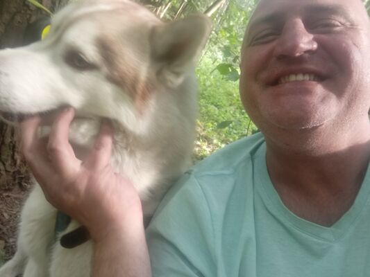  ,   Den, 42 ,     , c 