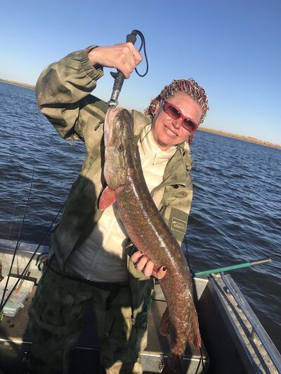  ,   Alisa, 54 ,   ,   
