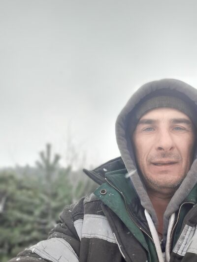  Sosnowiec,   , 46 ,   ,   