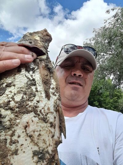  ,   , 53 ,   ,   , c 