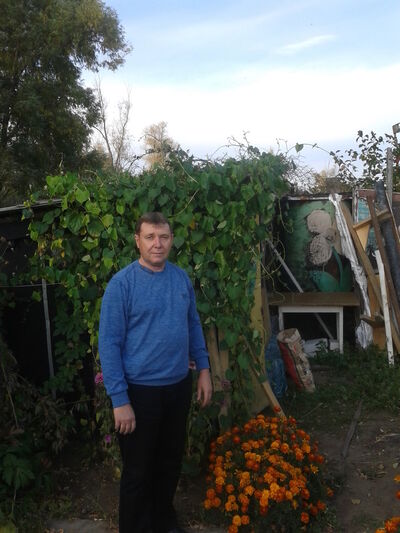 ,   Alekx, 65 ,   ,   , c 