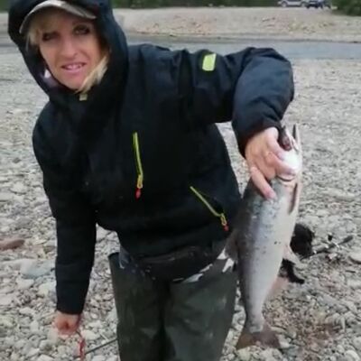  ,   , 55 ,     