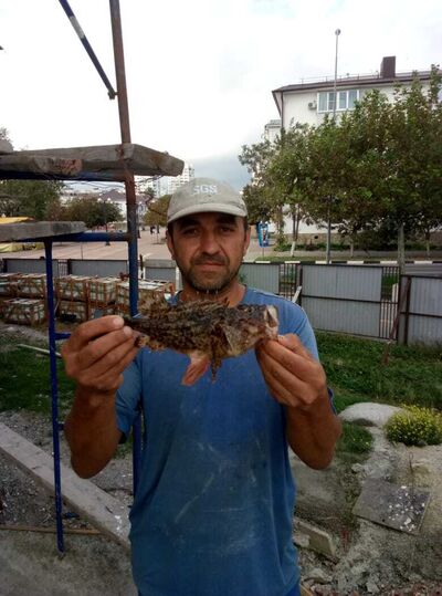  ,   Yunus, 44 ,   ,   , 