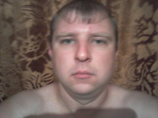  -,   , 41 ,   